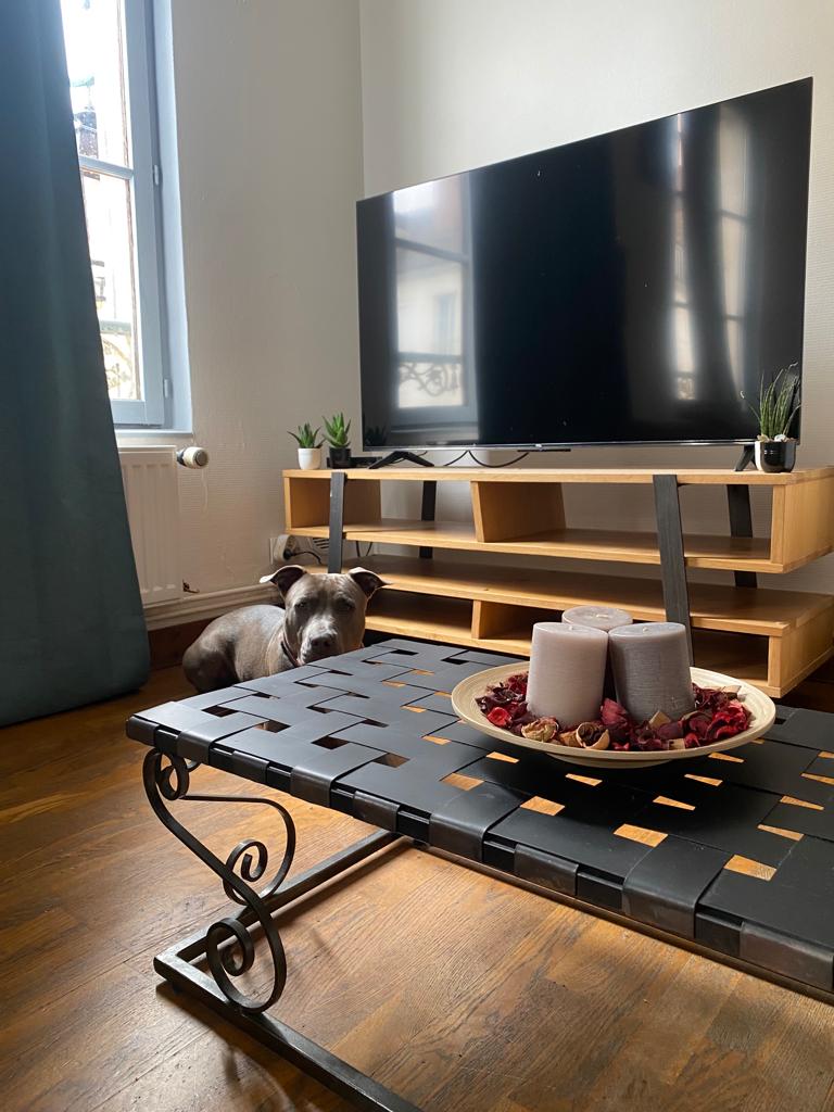 Indoor/outdoor living room coffee table